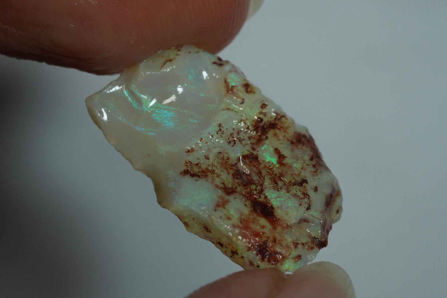 Rough Australian Opal
