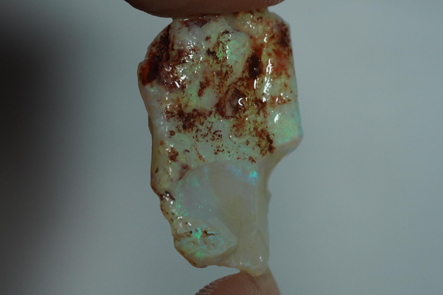 Rough Australian Opal