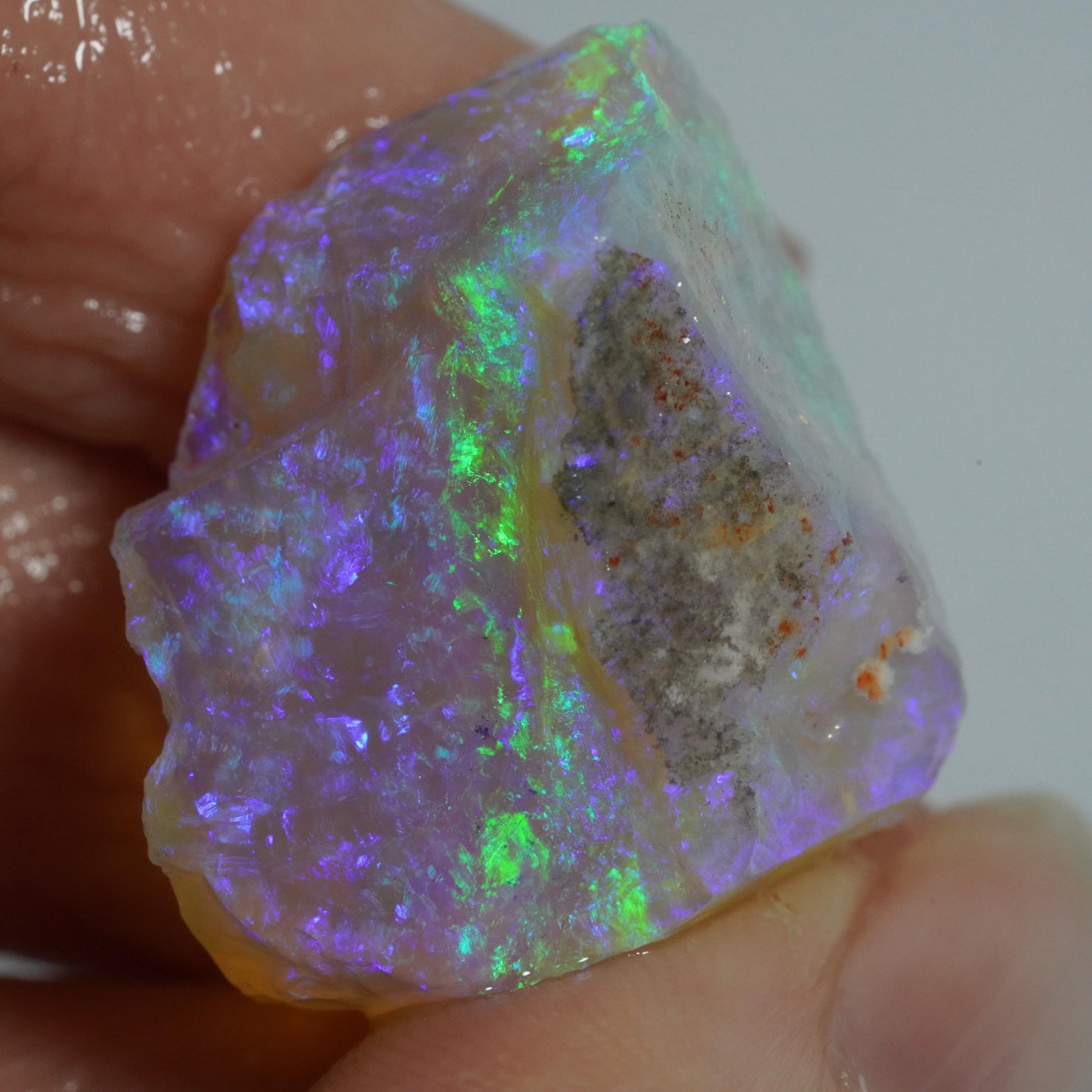 Rough Australian Opal