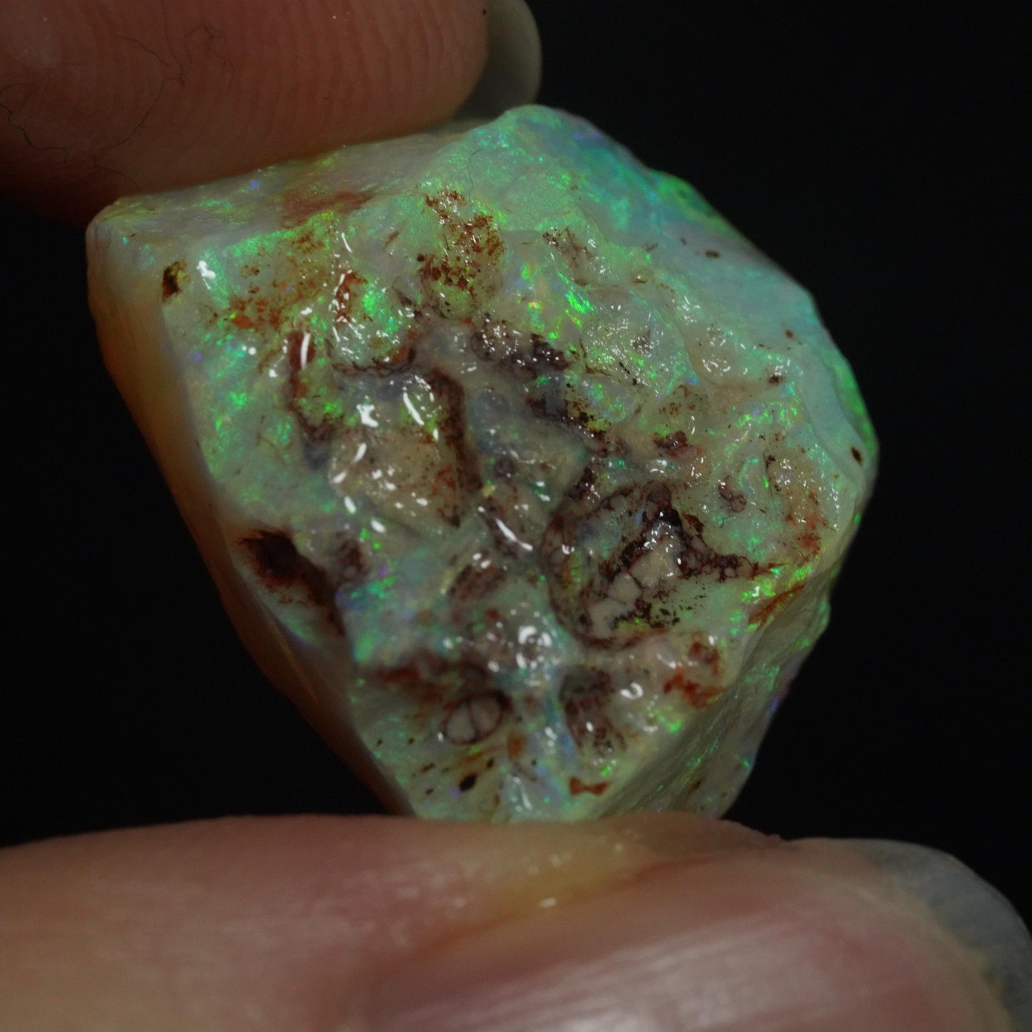 Rough Australian Opal
