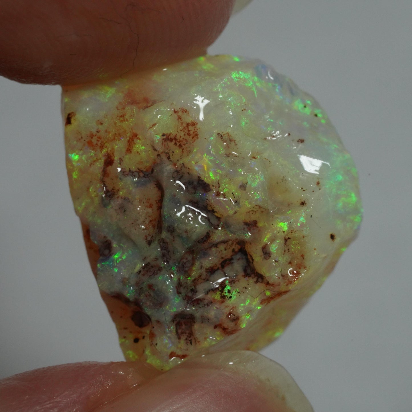 Rough Australian Opal