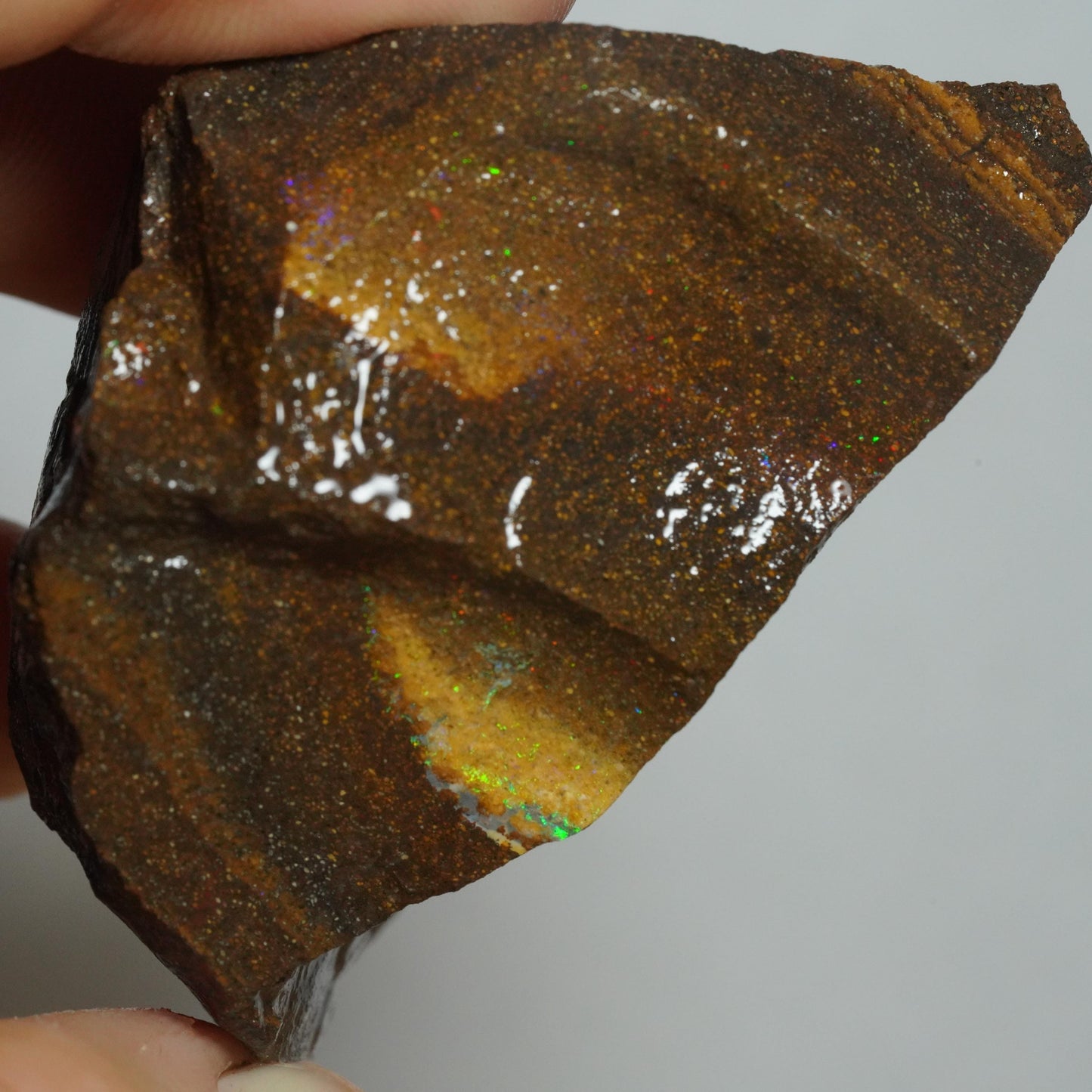 Rough Boulder Opal