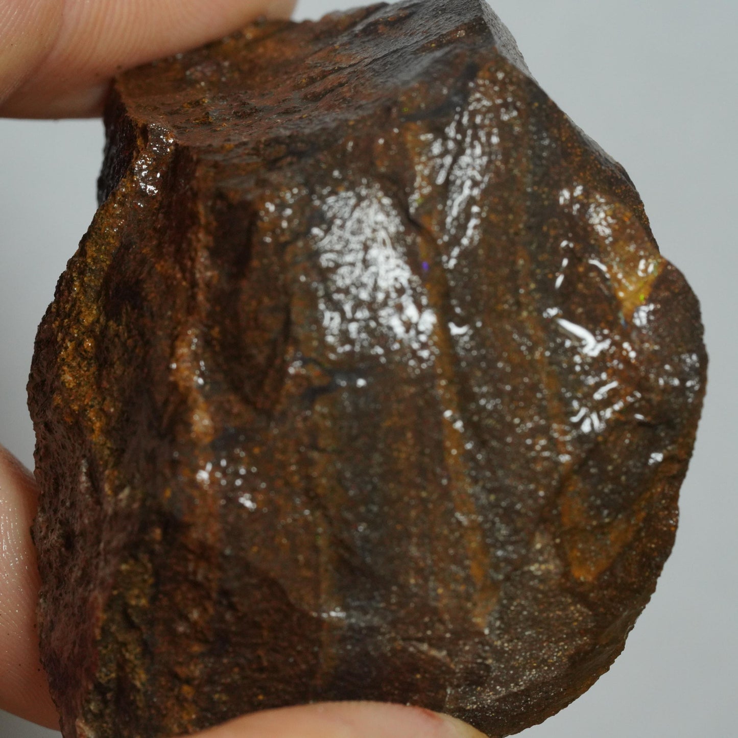 Rough Boulder Opal