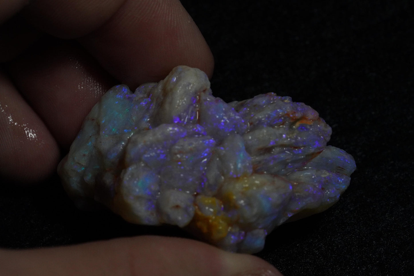Opal Pineapple Segment