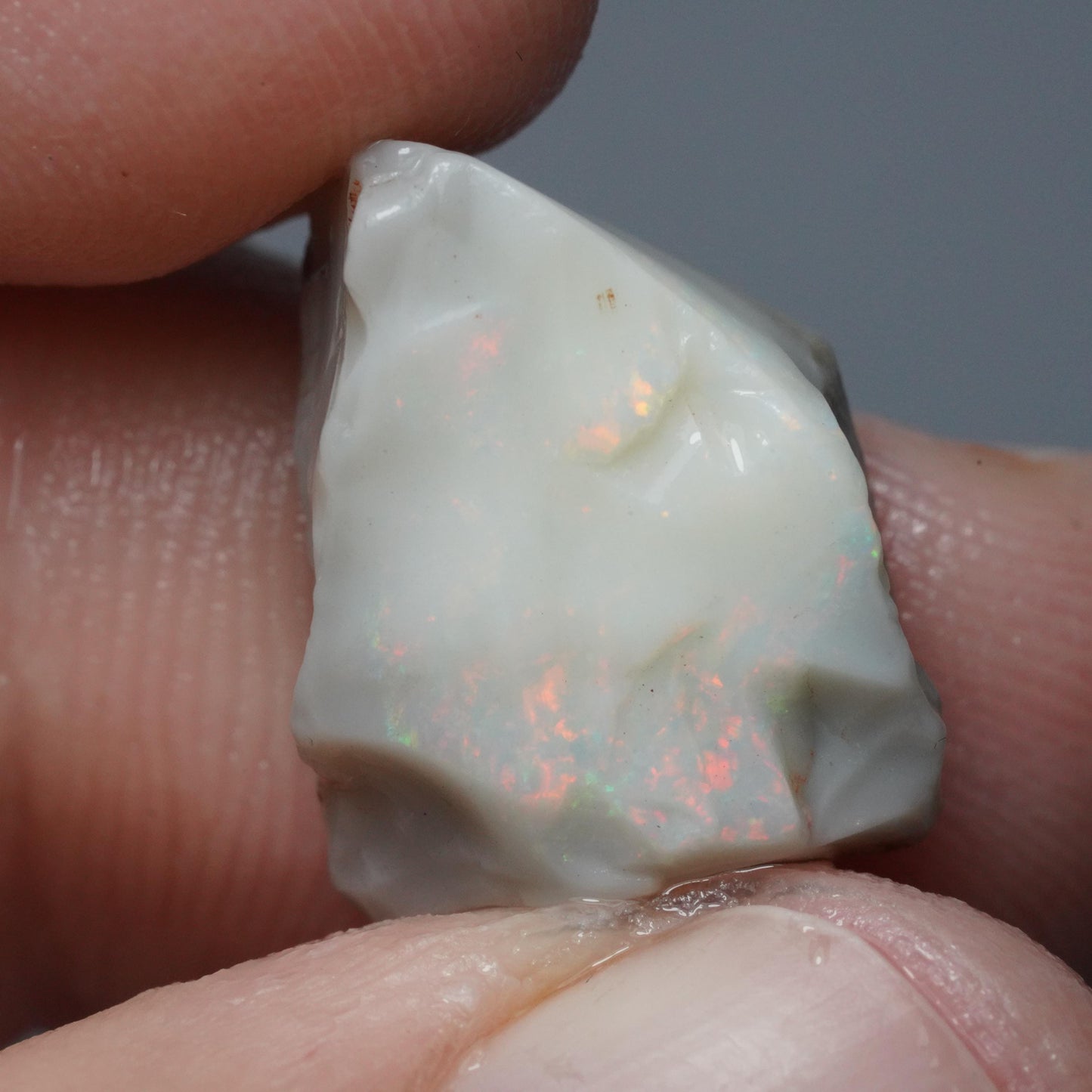 Australian Rough Opal