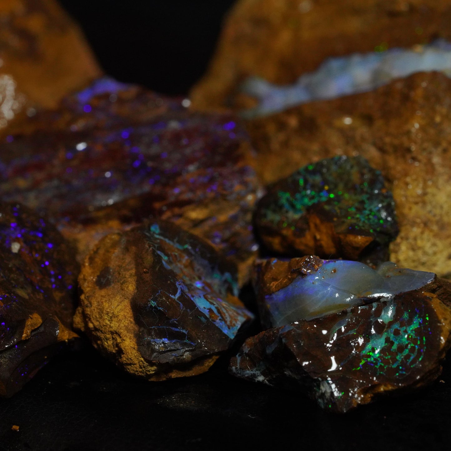 Opal Hunters Boulder Opal Paydirt