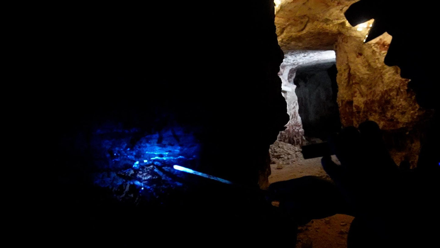 Opal Blacklight Kit
