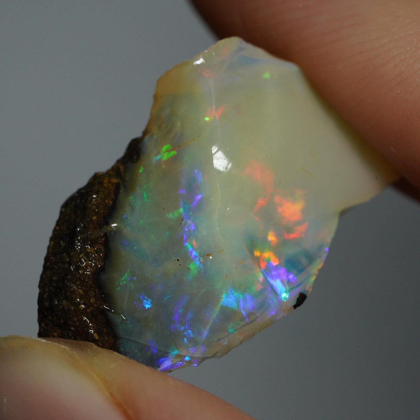 Rough Boulder Opal
