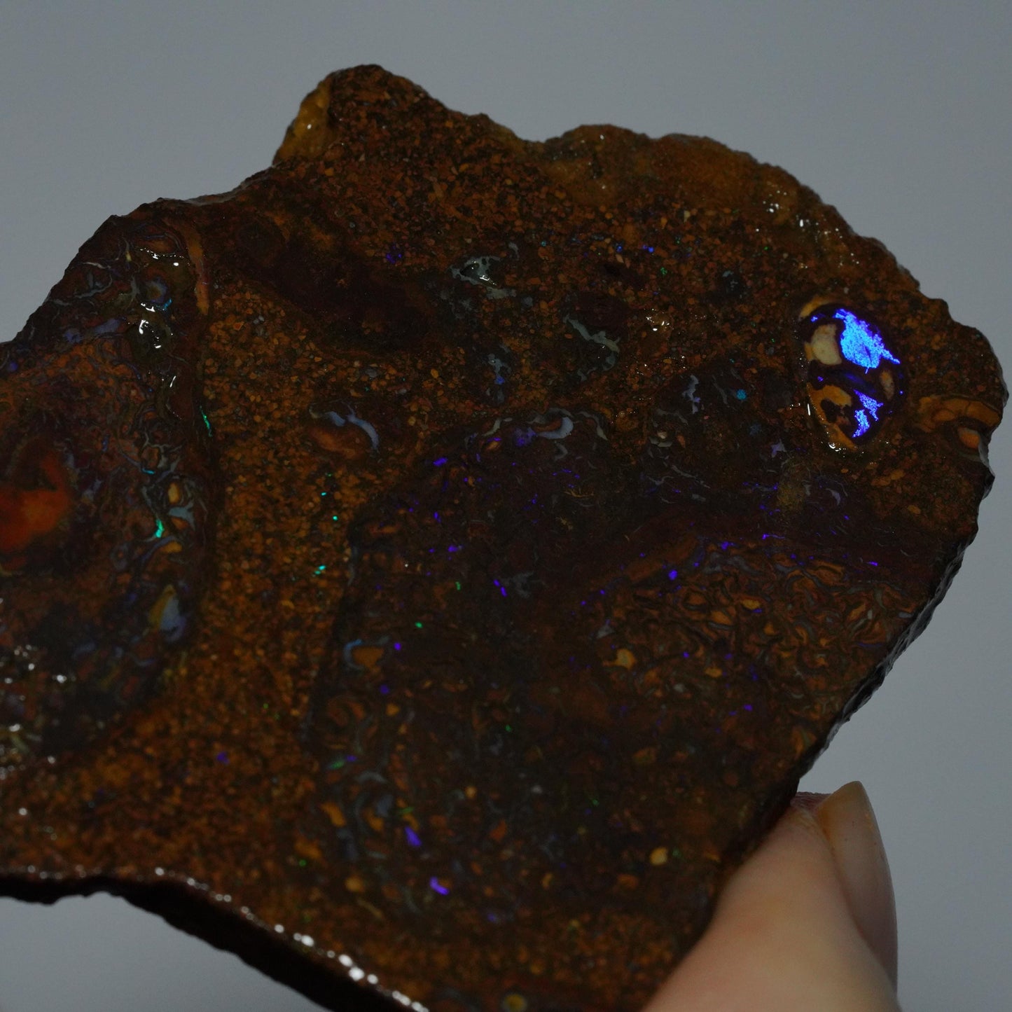 Boulder Opal Slab