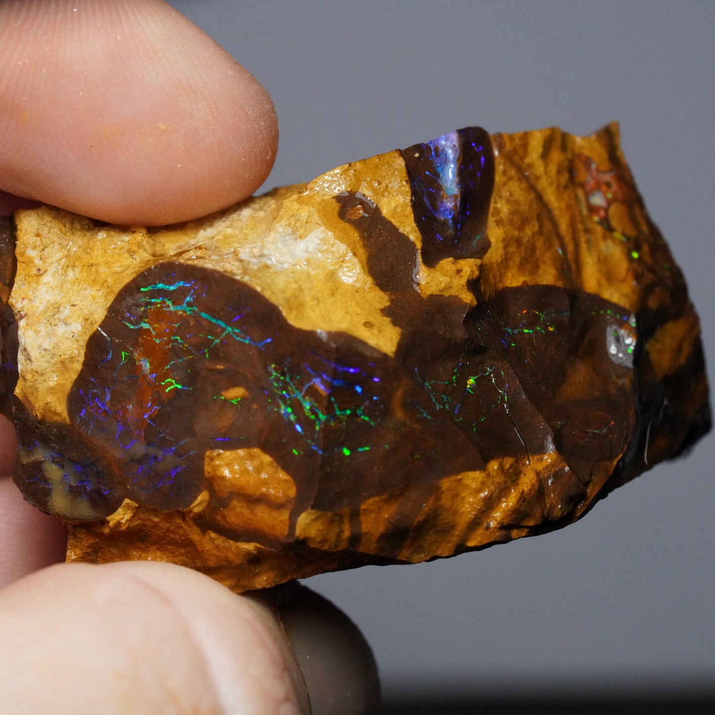 Boulder Opal