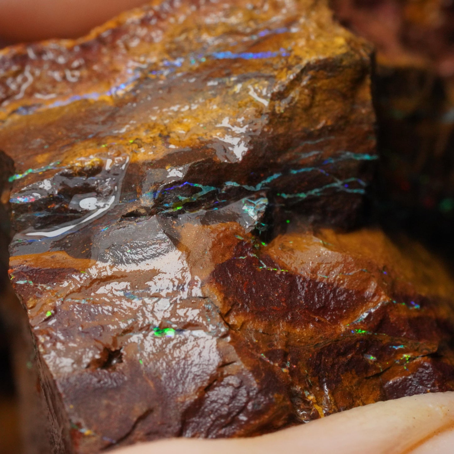 Boulder Opal