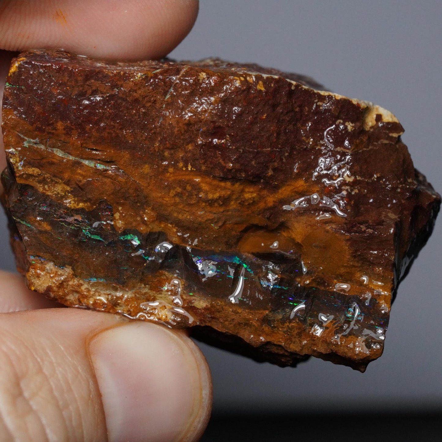 Boulder Opal