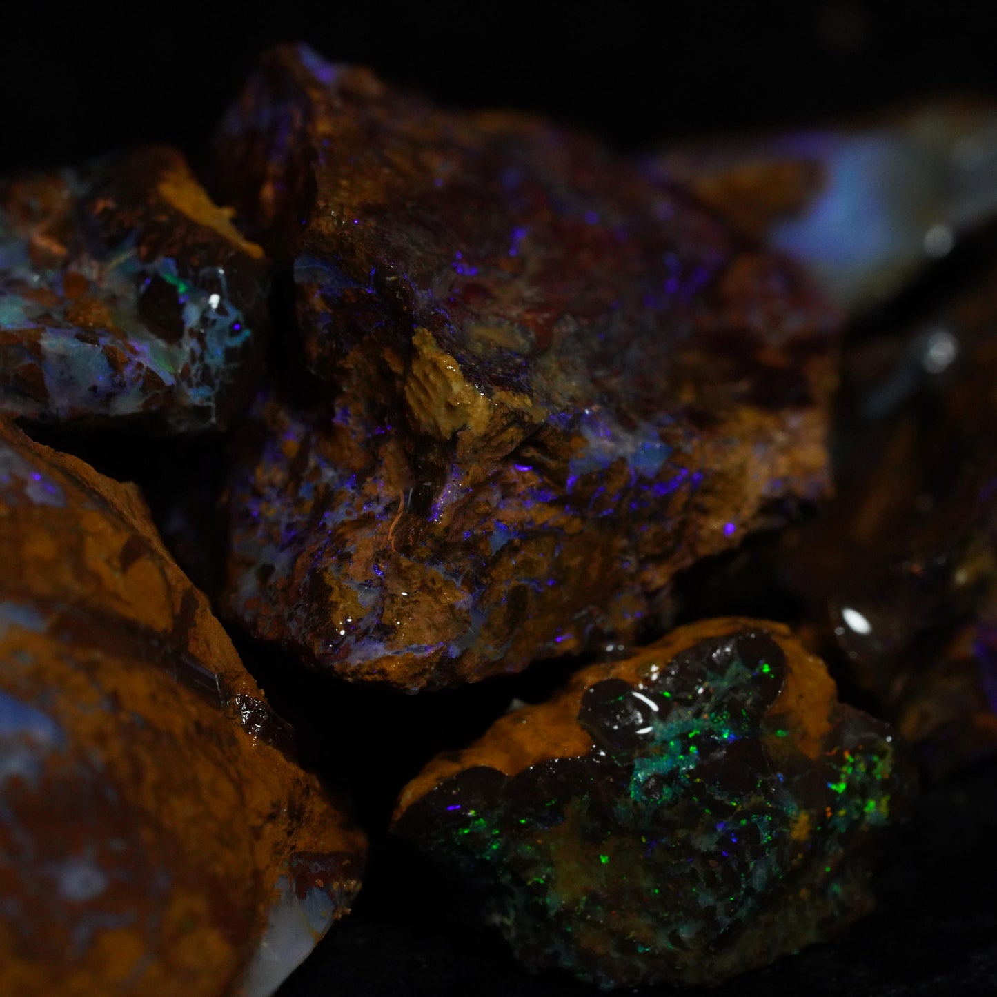 Opal Hunters Boulder Opal Paydirt