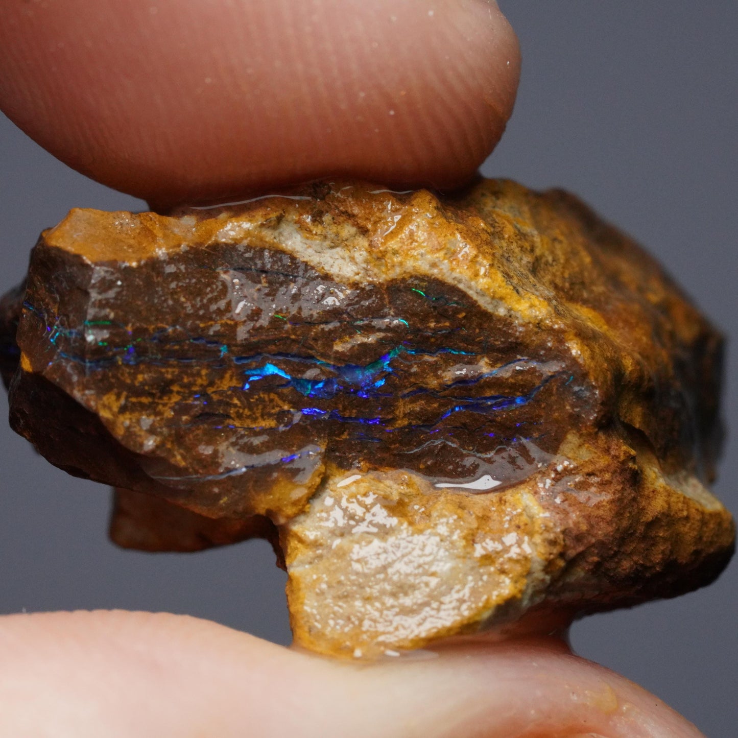 Boulder Opal