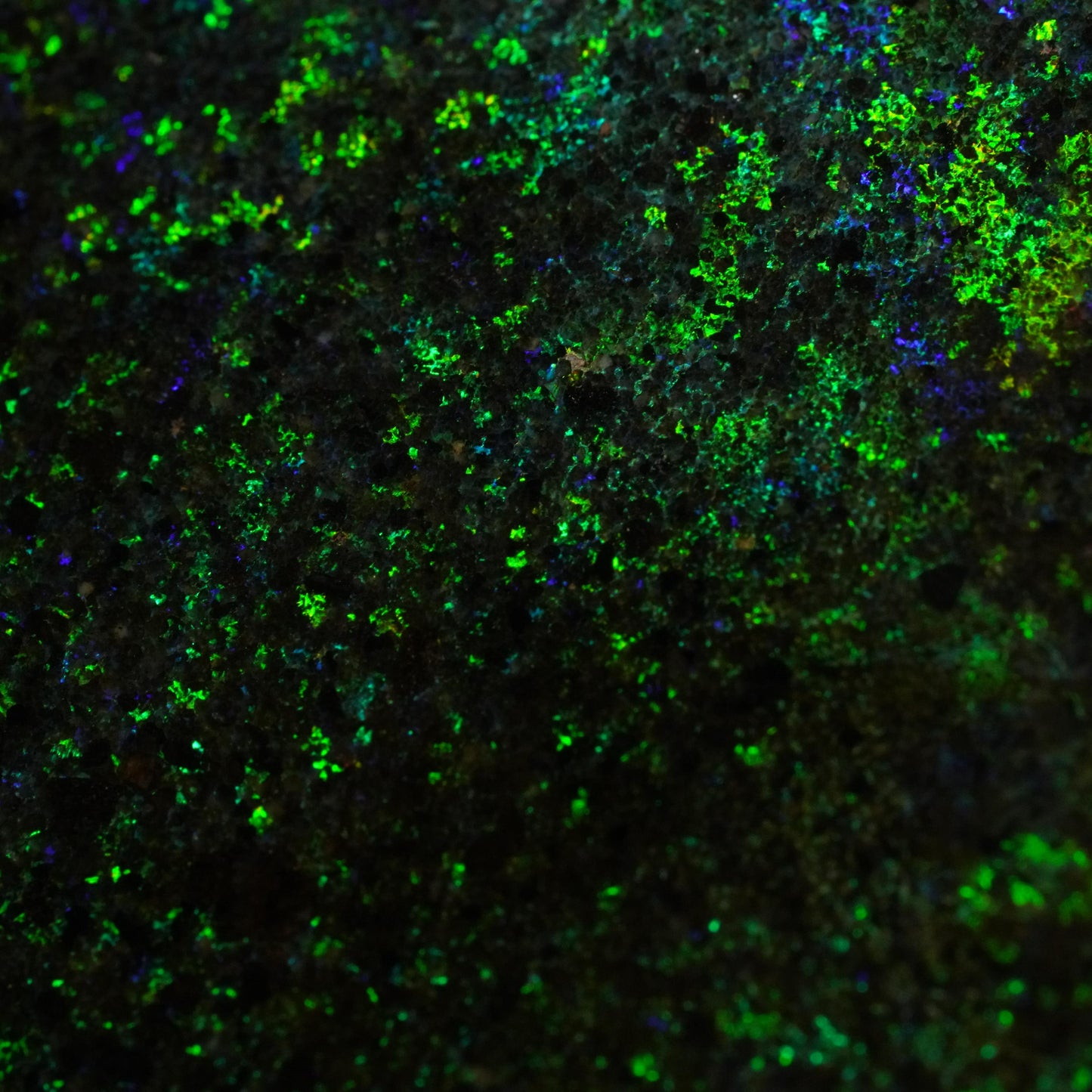 Andamooka Matrix Opal