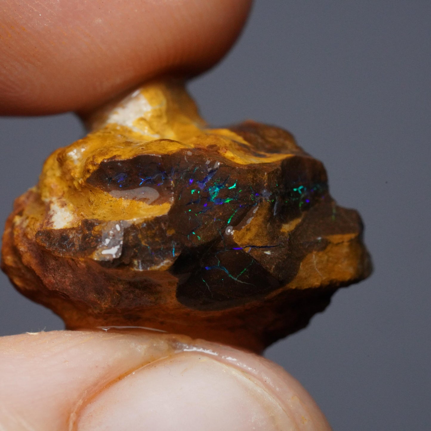 Boulder Opal