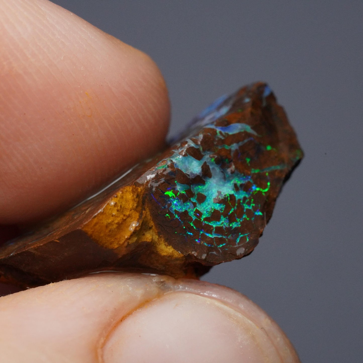 Boulder Opal