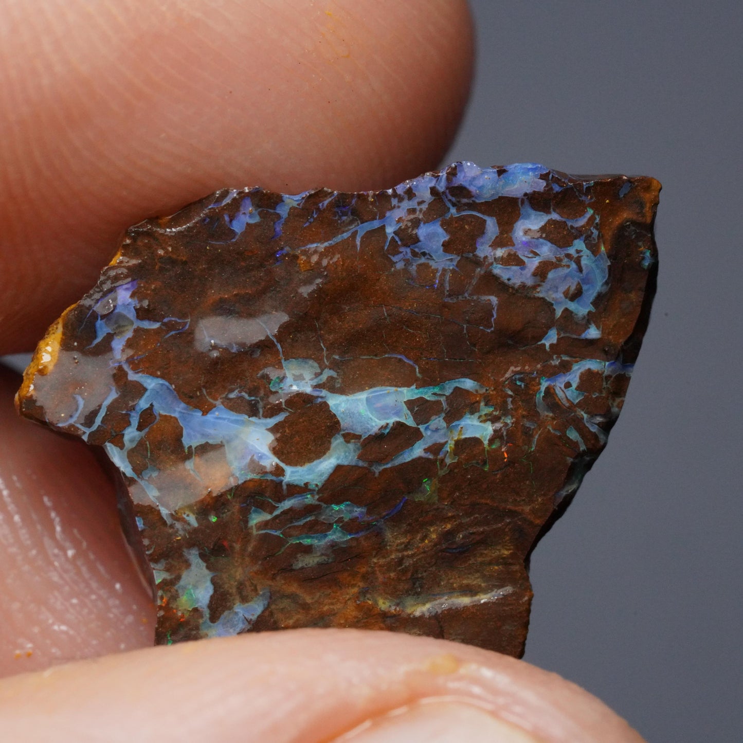 Boulder Opal