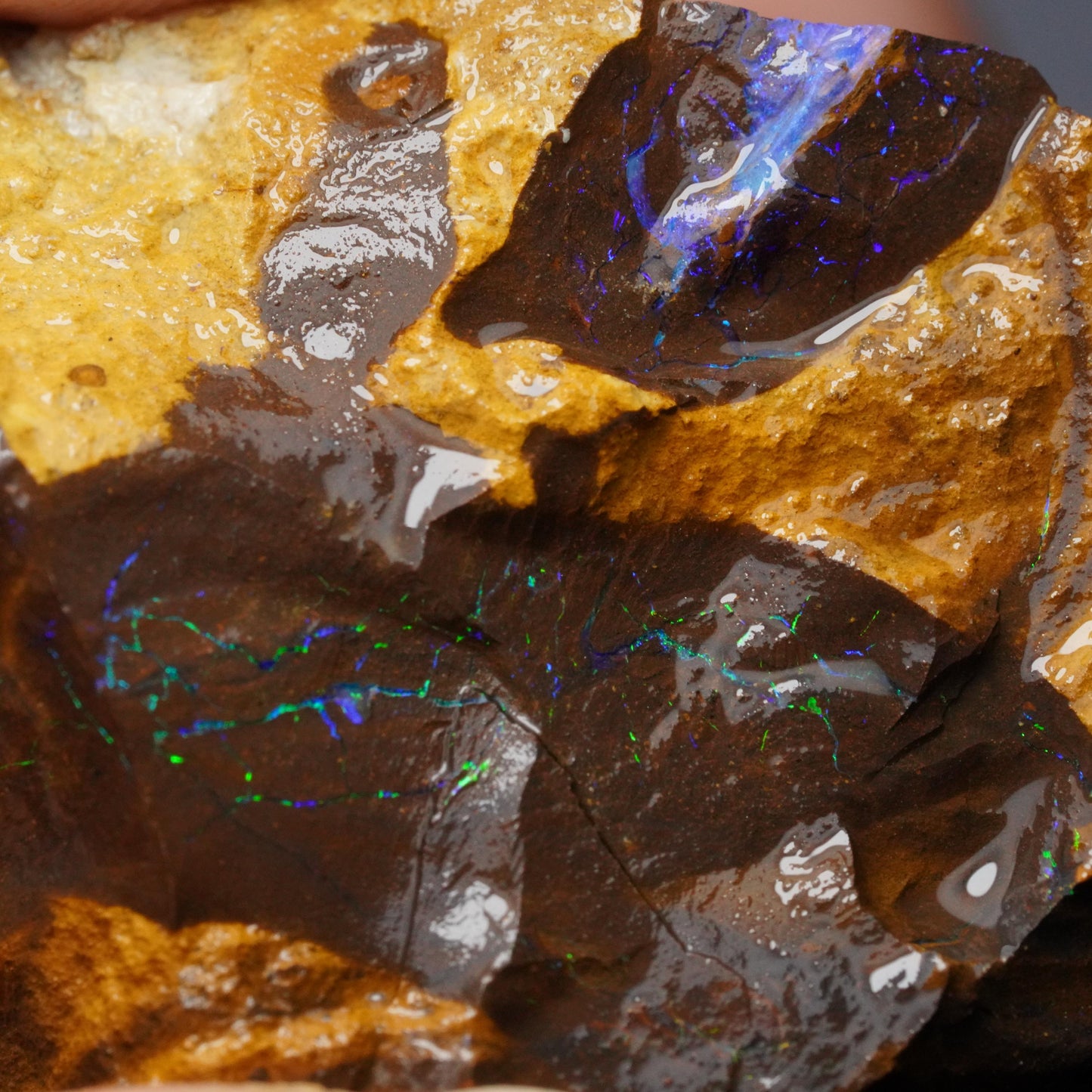 Boulder Opal