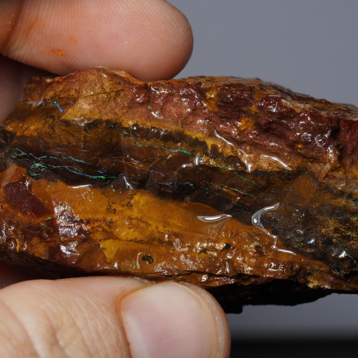 Boulder Opal