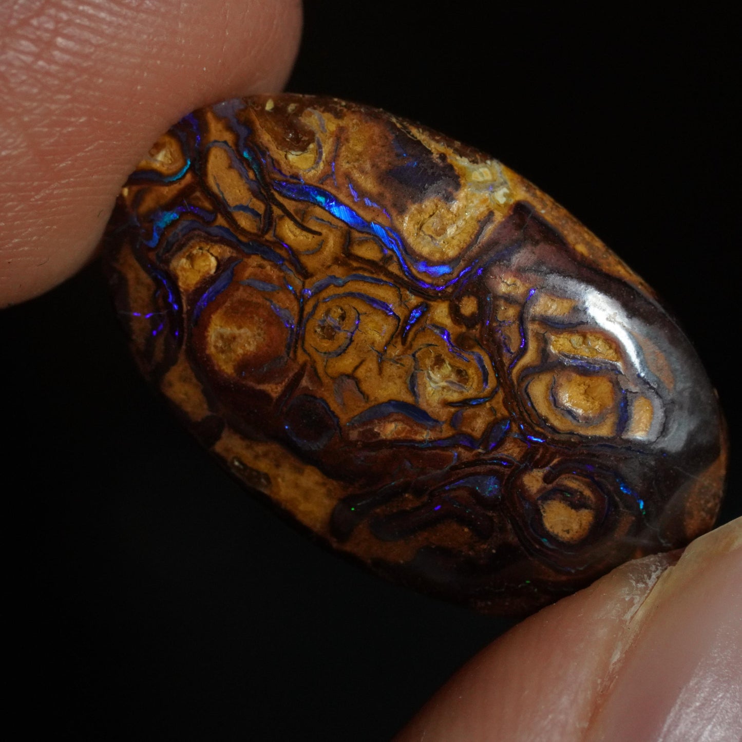 Boulder Opal Cut Stone