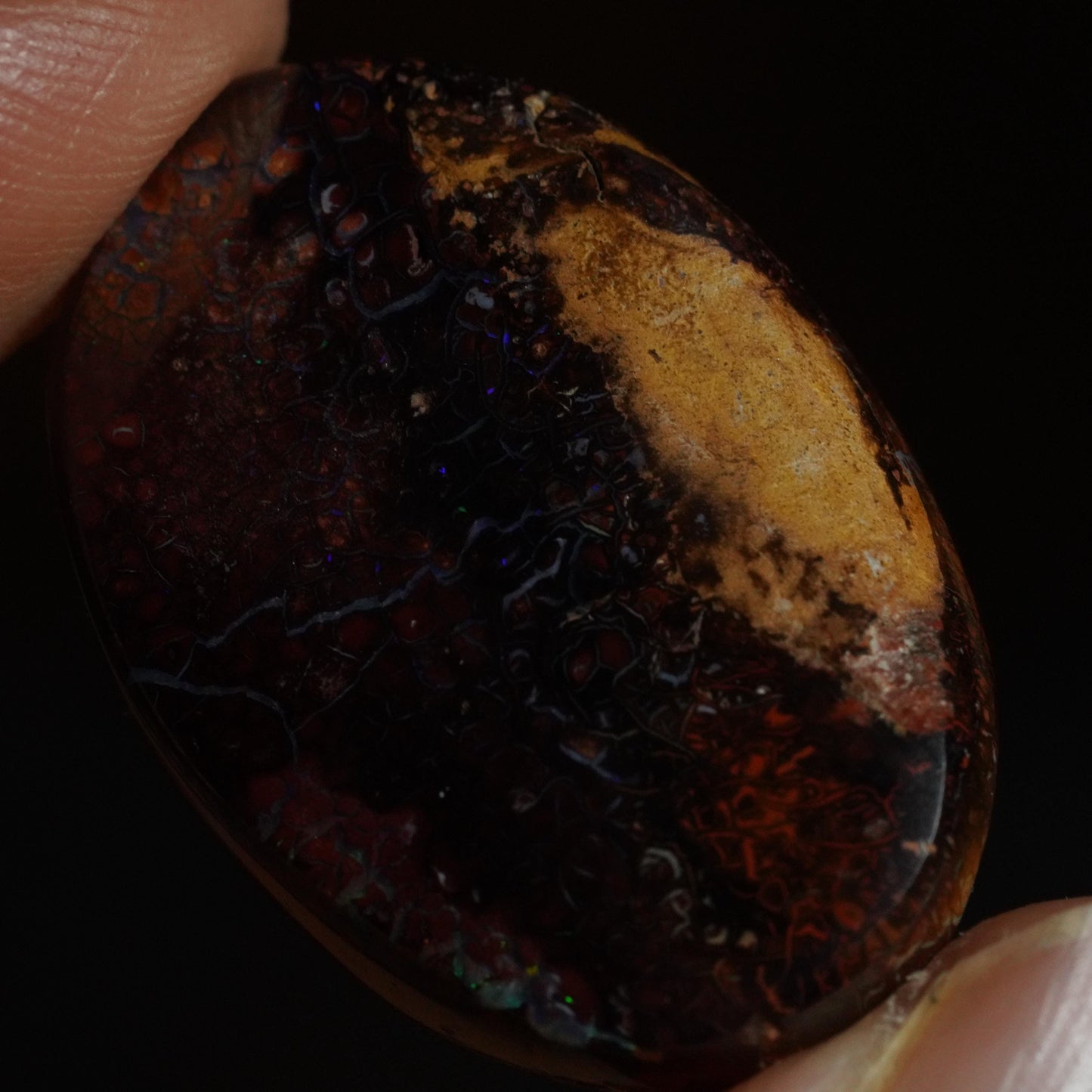 Boulder Opal Cut Stone