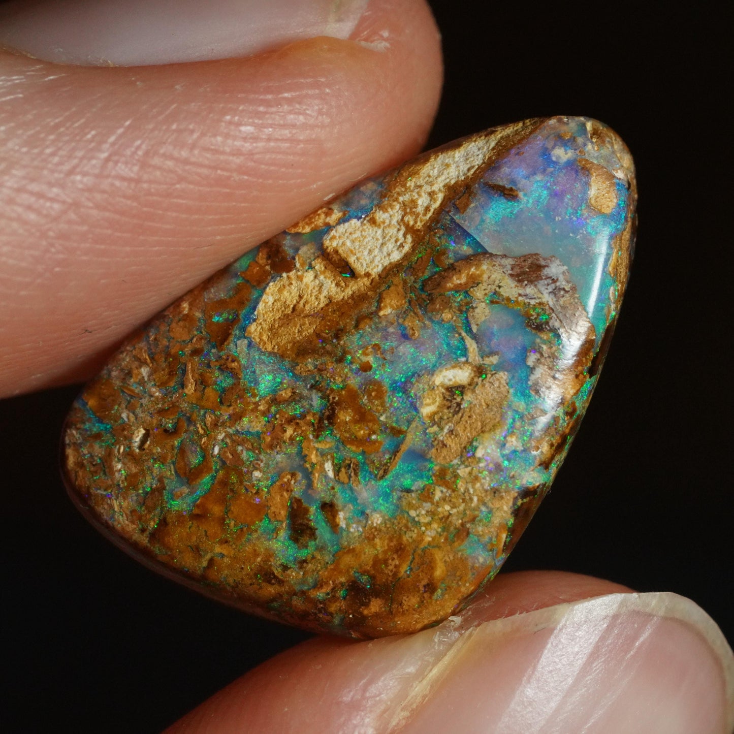 Boulder Opal Cut Stone