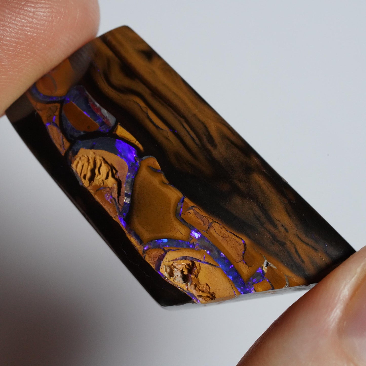 Boulder Opal Cut Stone