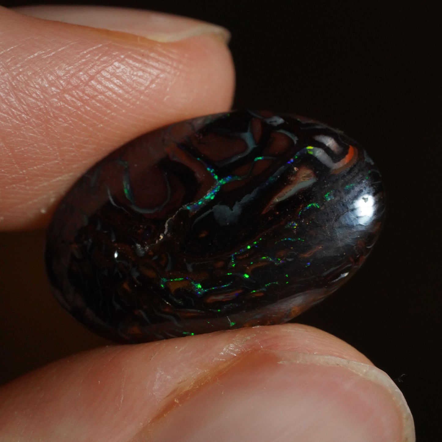 Boulder Opal Cut Stone