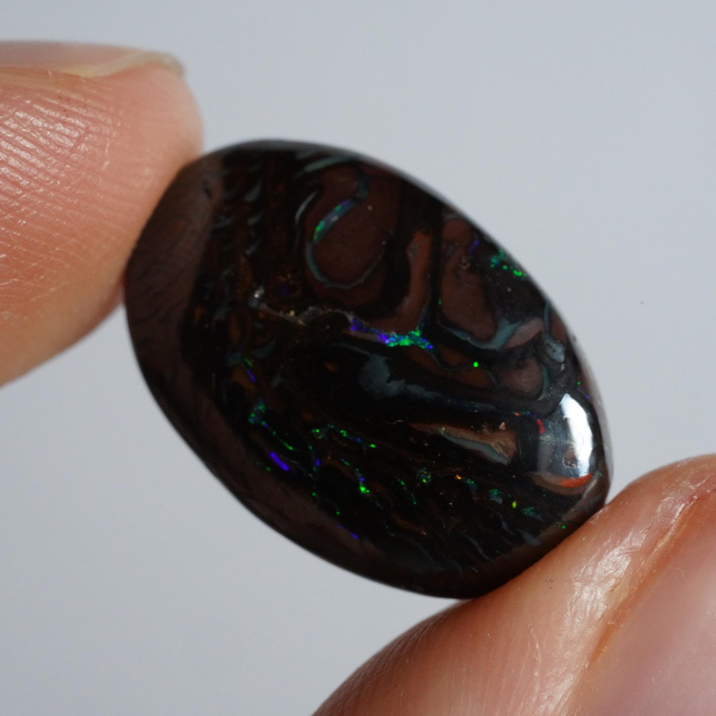 Boulder Opal Cut Stone