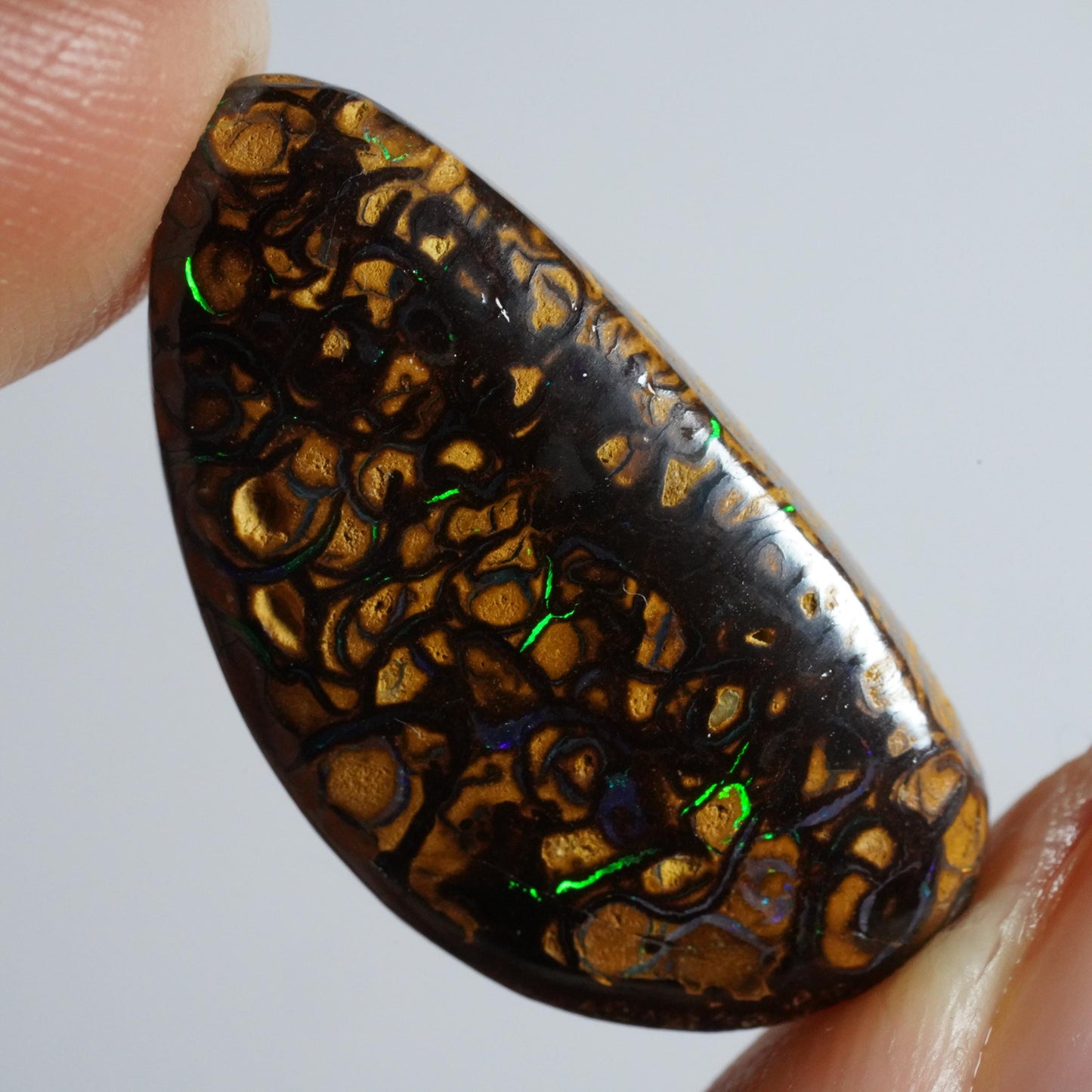 Boulder Opal Cut Stone