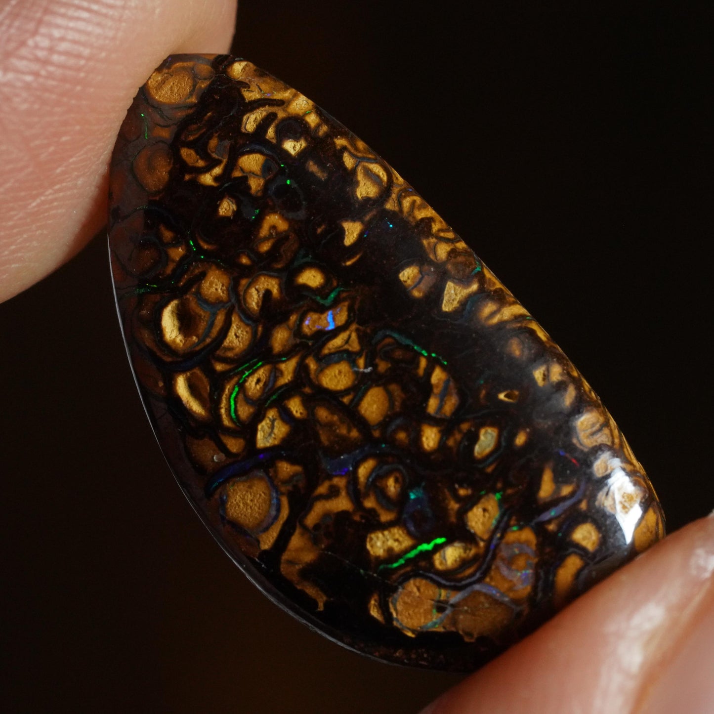 Boulder Opal Cut Stone