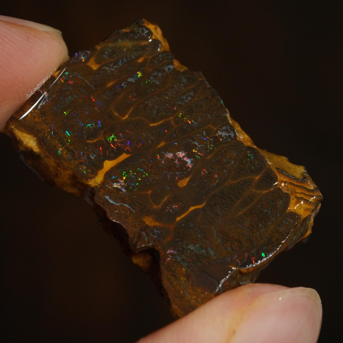 Boulder Opal Rub