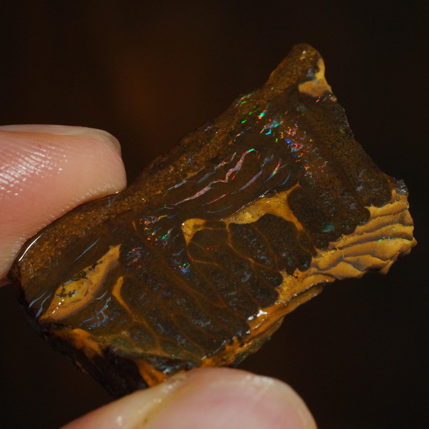 Boulder Opal Rub