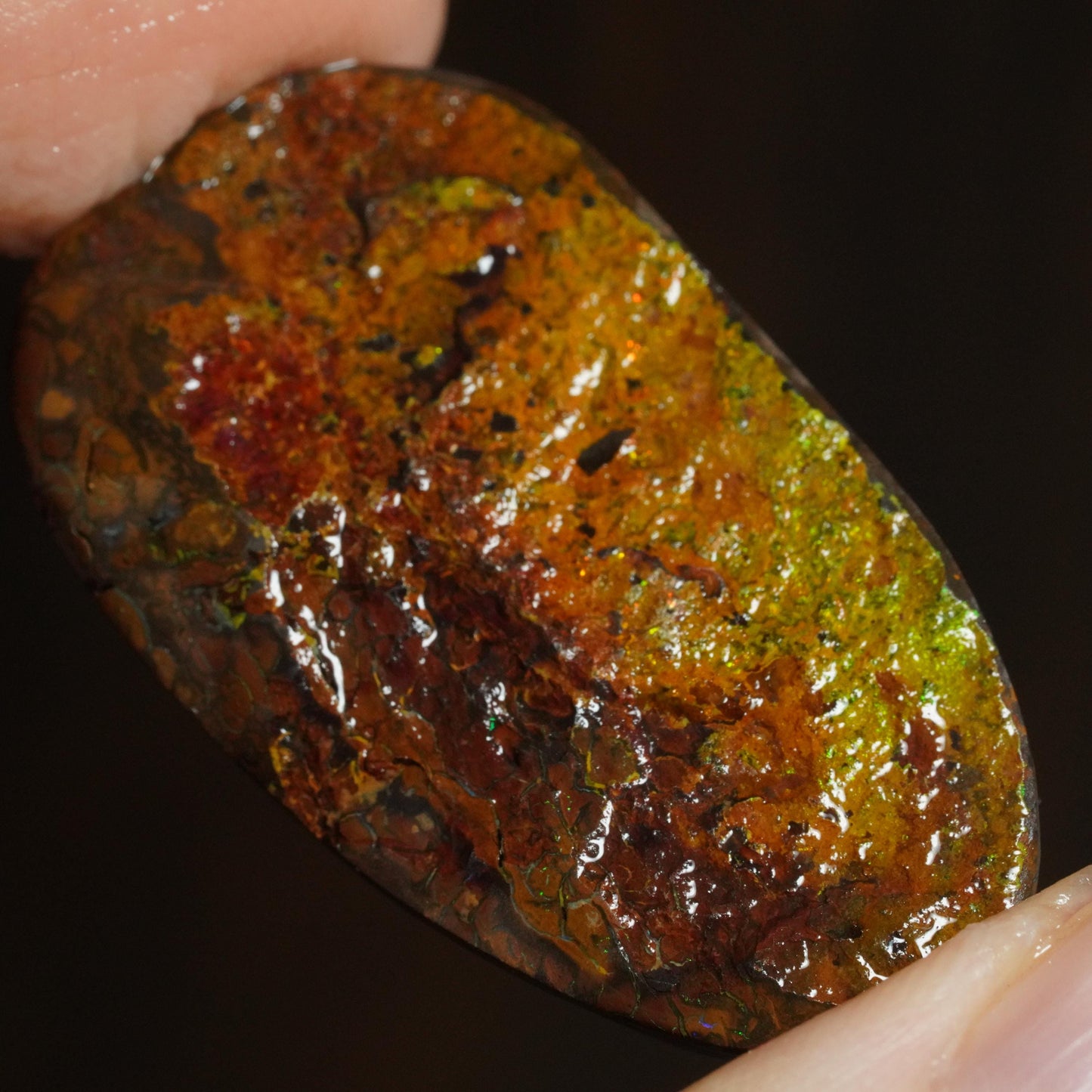Boulder Opal Rub