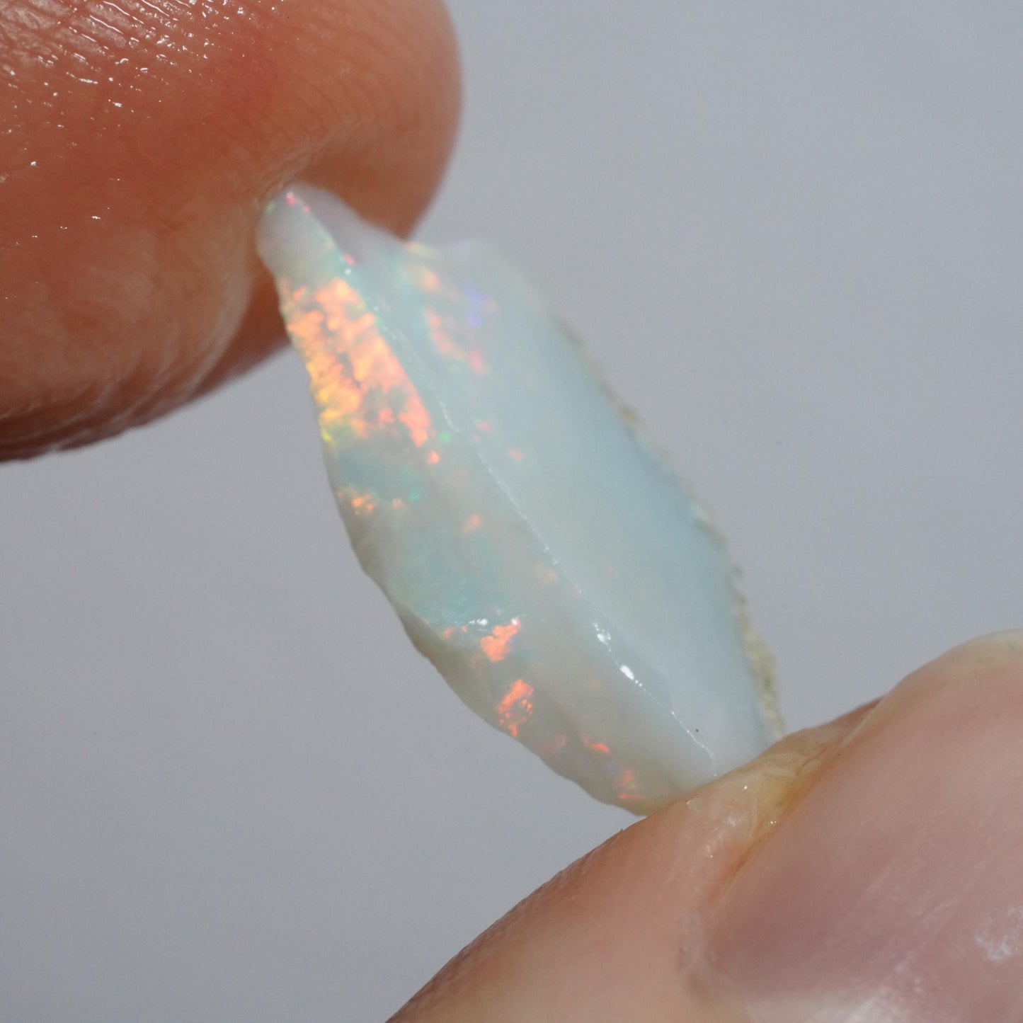 Australian Rough Opal