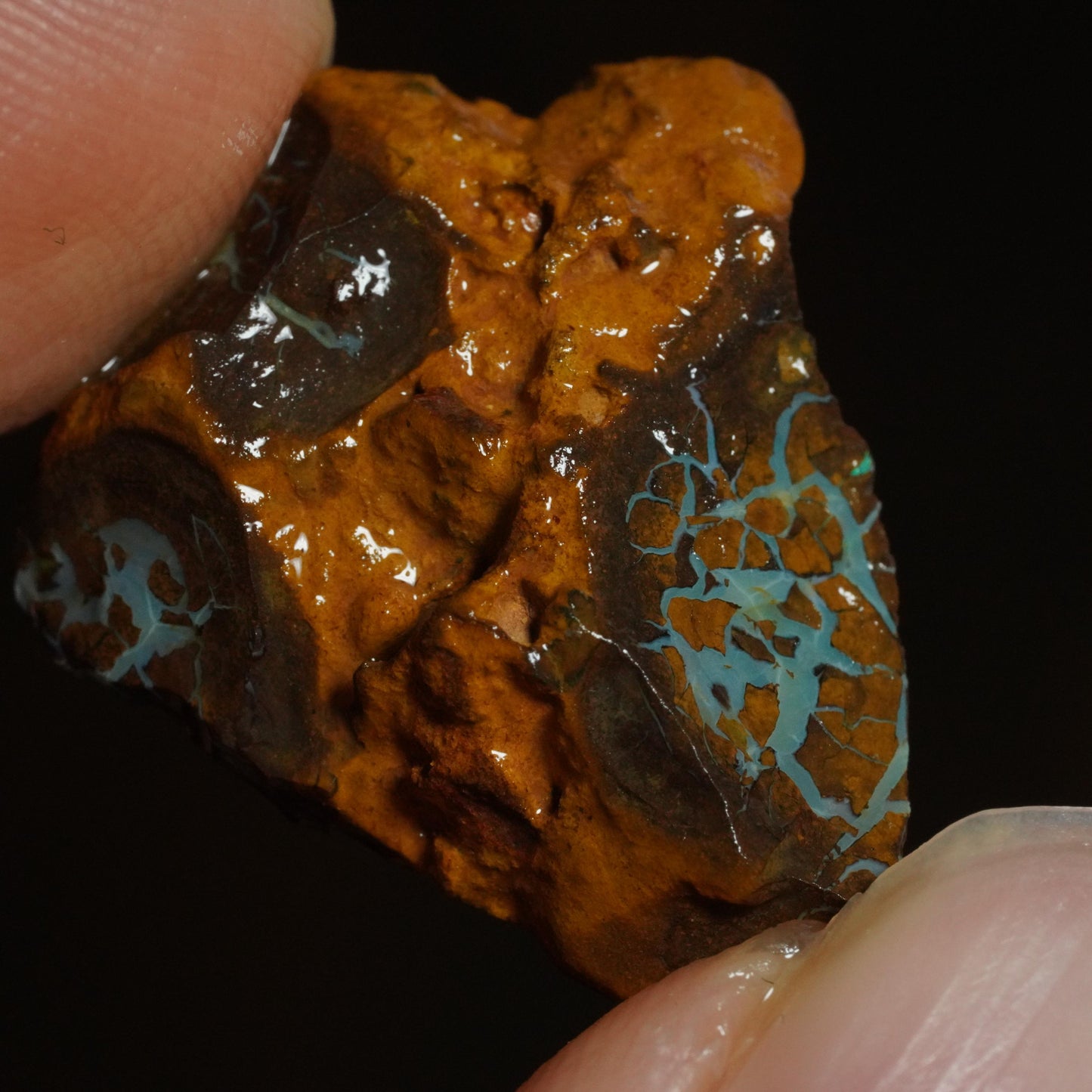 Rough Boulder Opal