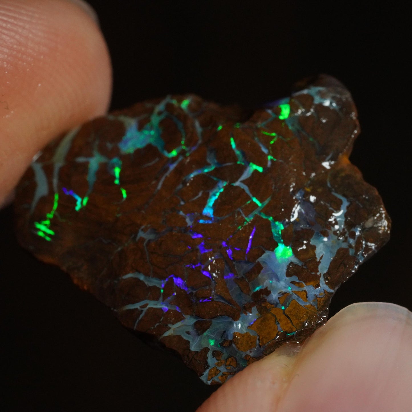 Rough Boulder Opal