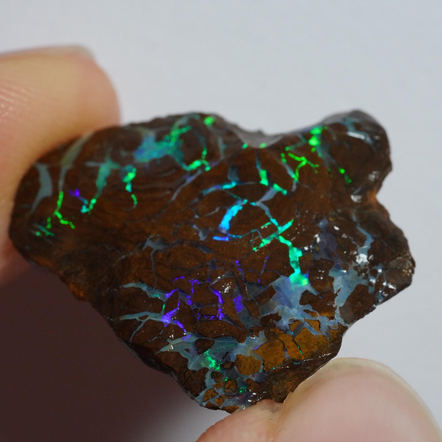 Rough Boulder Opal