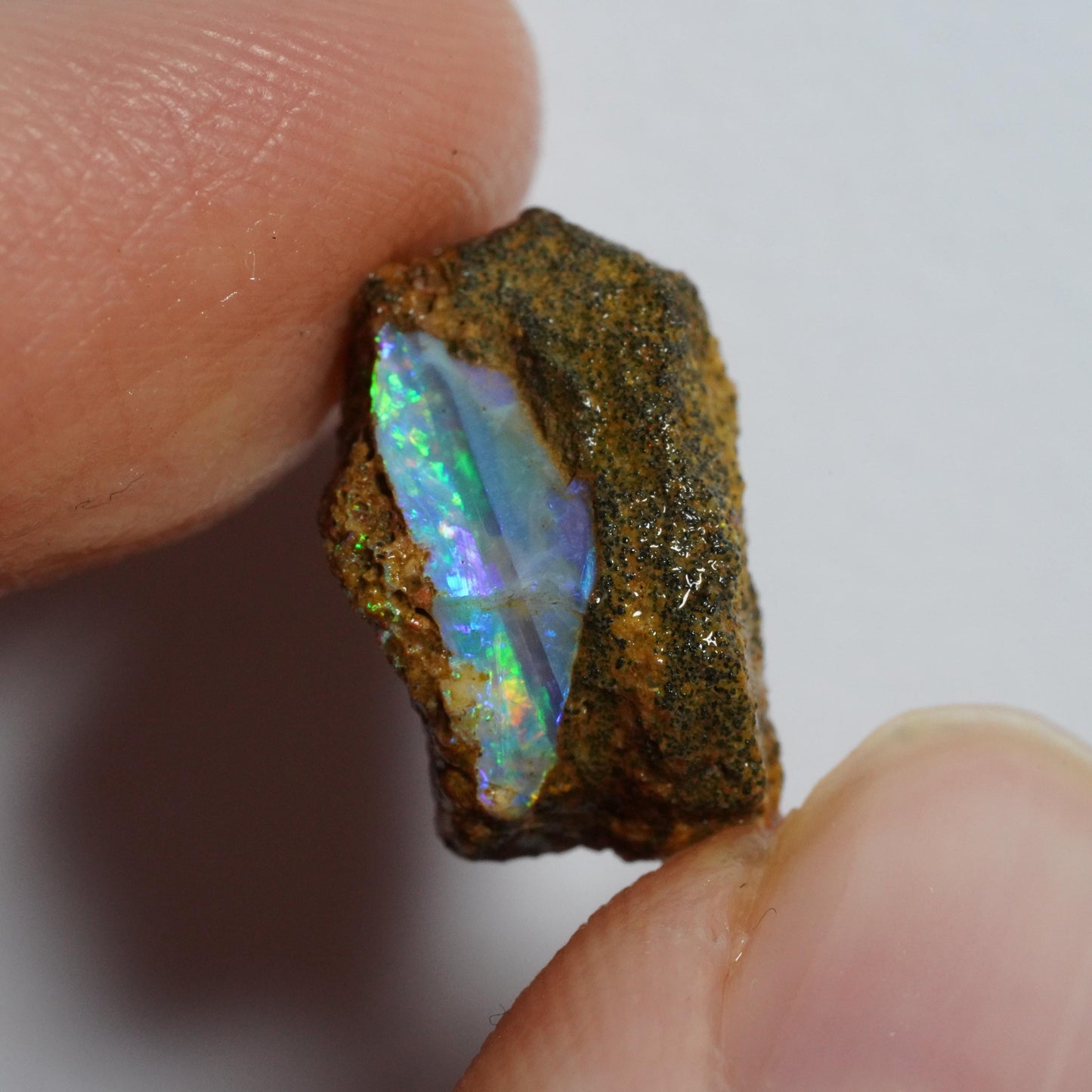 Rough Boulder Opal