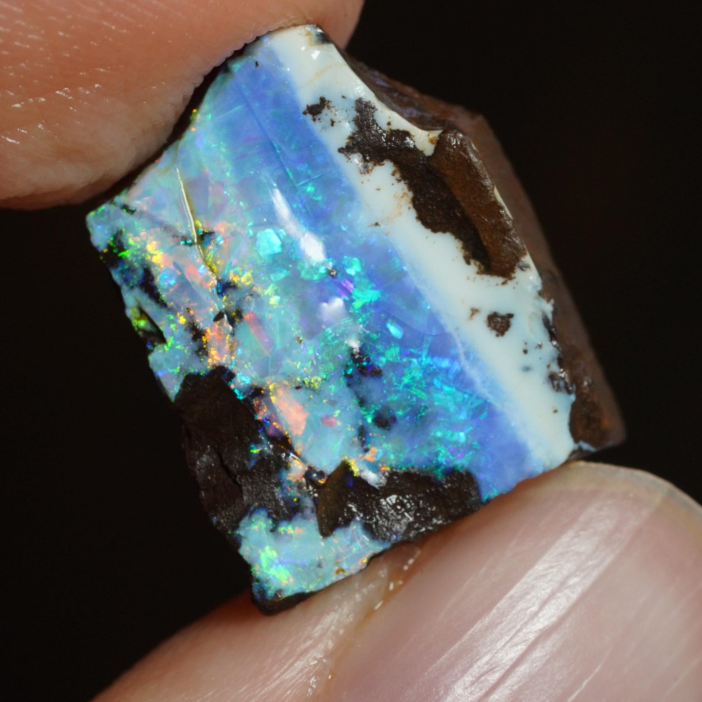 Rough Boulder Opal