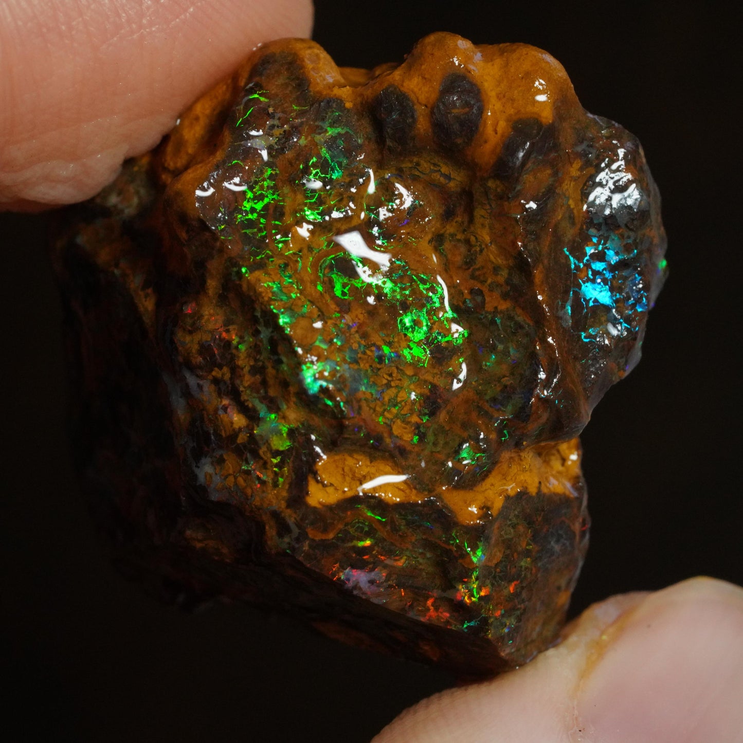 Rough Boulder Opal
