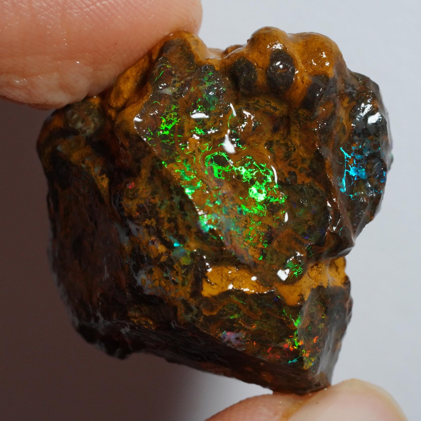 Rough Boulder Opal
