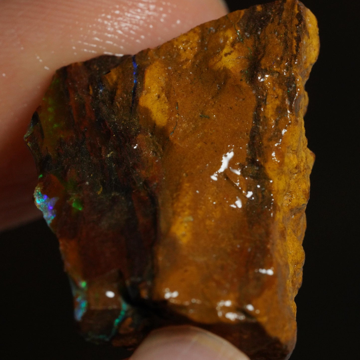 Rough Boulder Opal