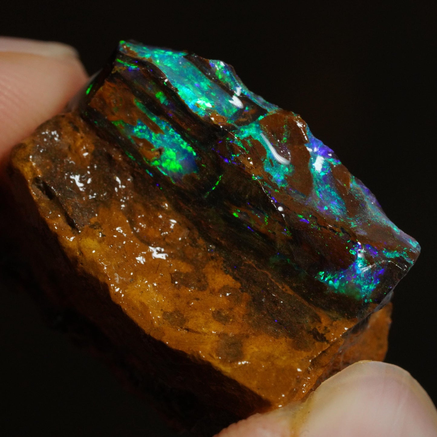 Rough Boulder Opal