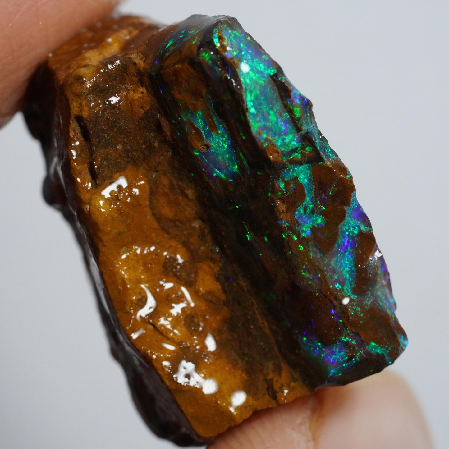 Rough Boulder Opal
