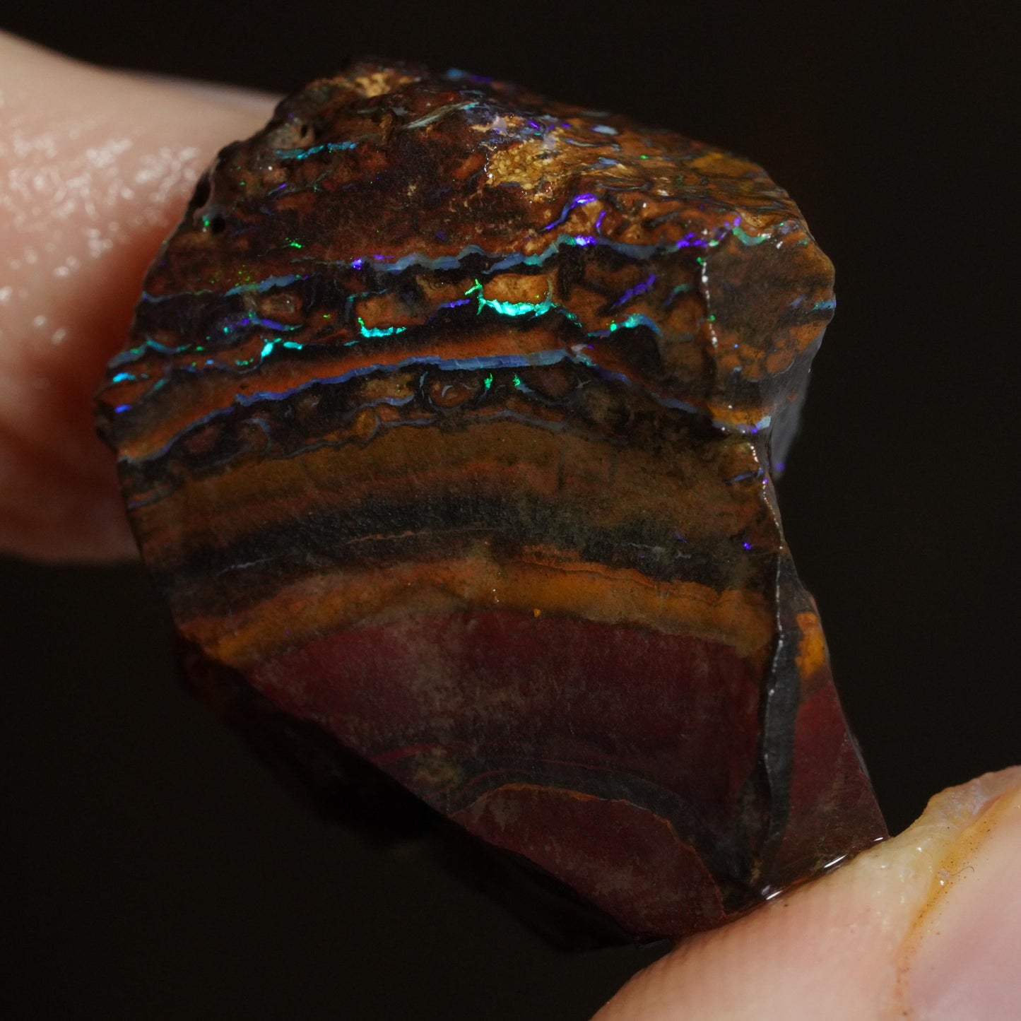 Rough Boulder Opal