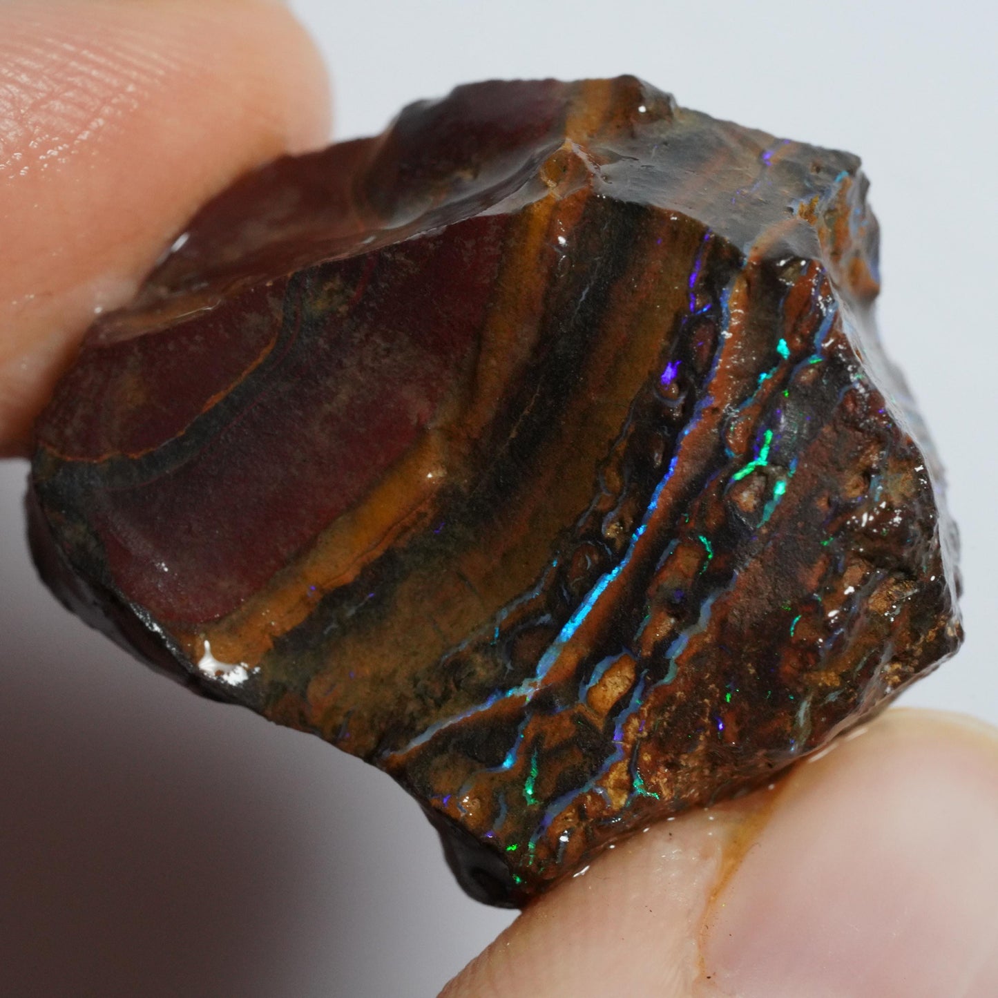Rough Boulder Opal