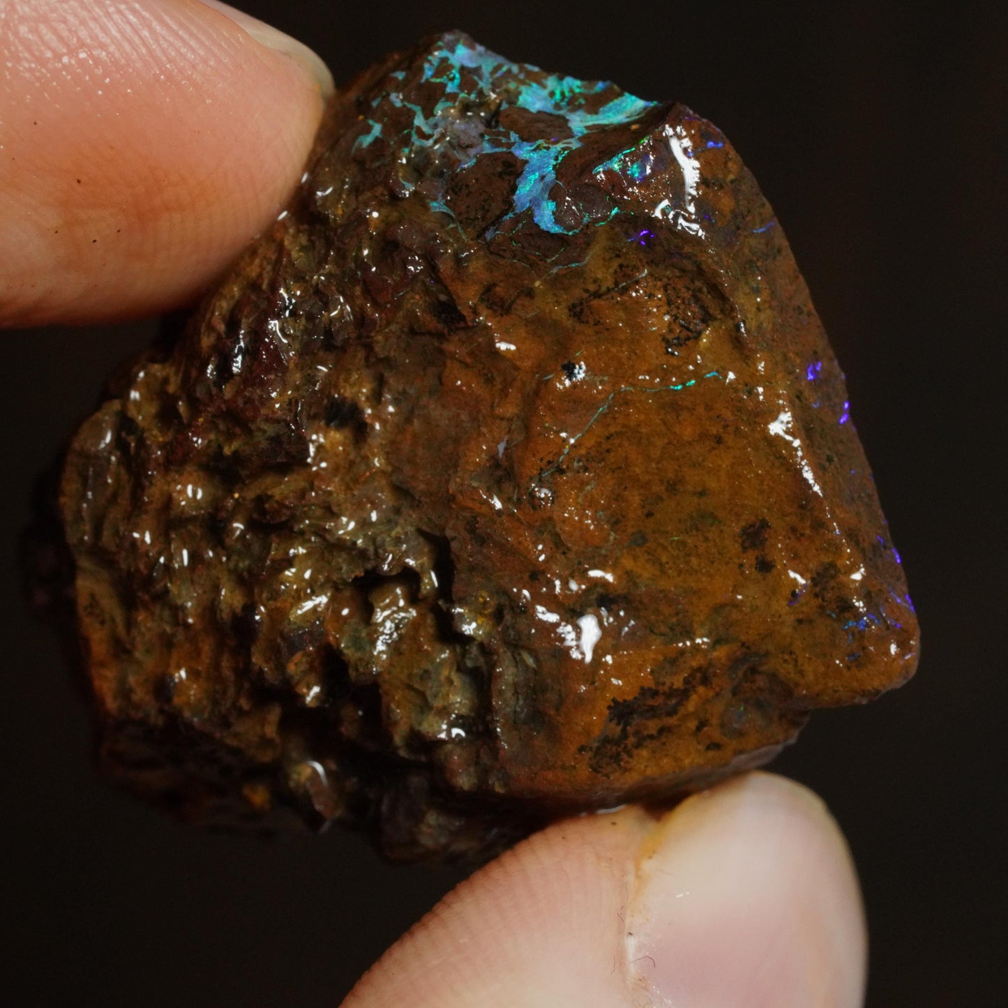 Rough Boulder Opal