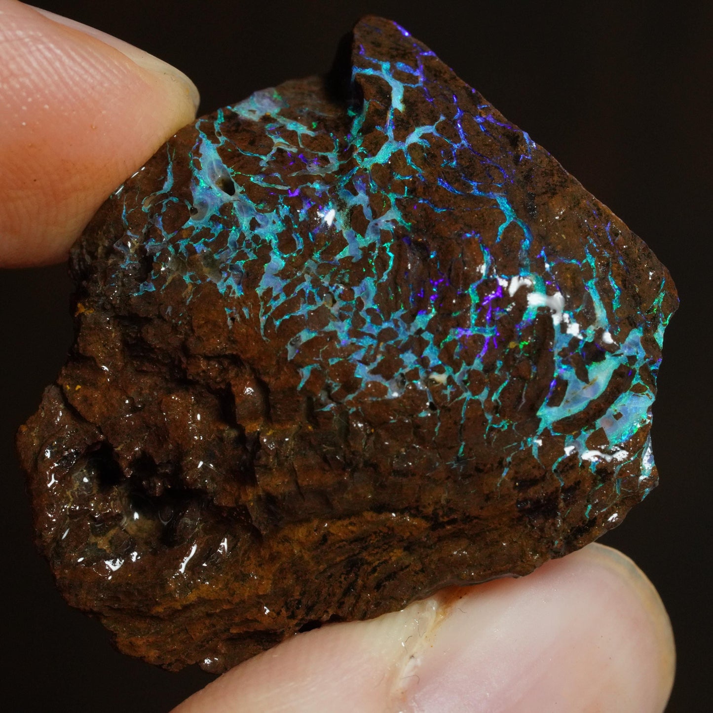 Rough Boulder Opal